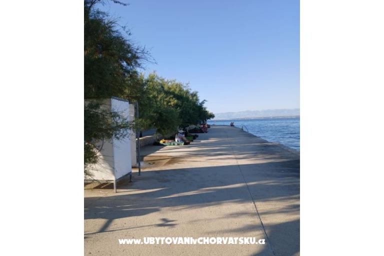 Appartementen Galius Ugljan – foto 5