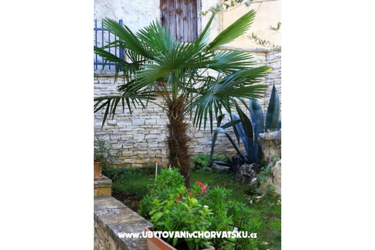 Casa Oleander  – foto 3