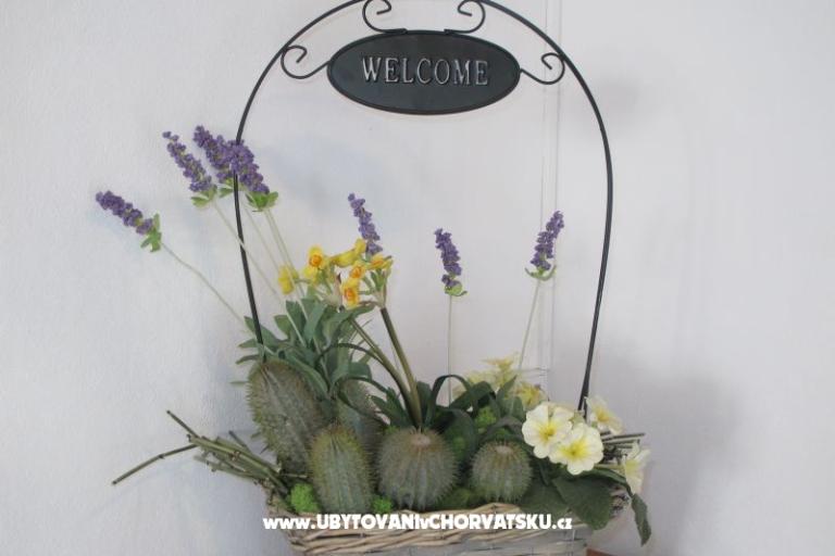 Huis Toma – foto 13