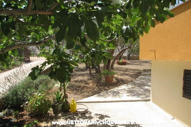 Villa Tesna – foto 14