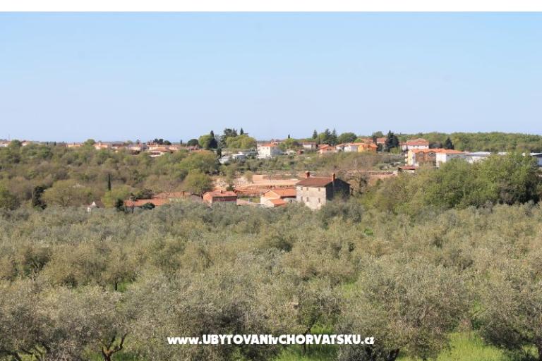 Apartma Olive garden – foto 15