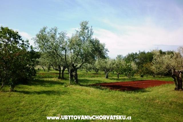 Appartementen Linda – foto 3