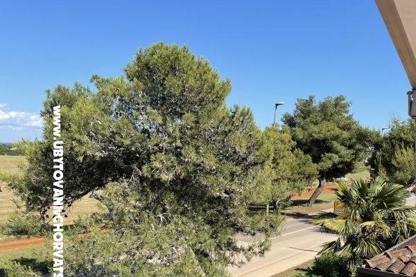 Appartementen Maris  – foto 7