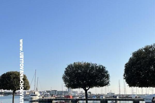 Appartementen Maris  – foto 5