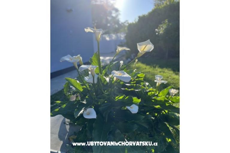 Holiday Huis Gabi – foto 18