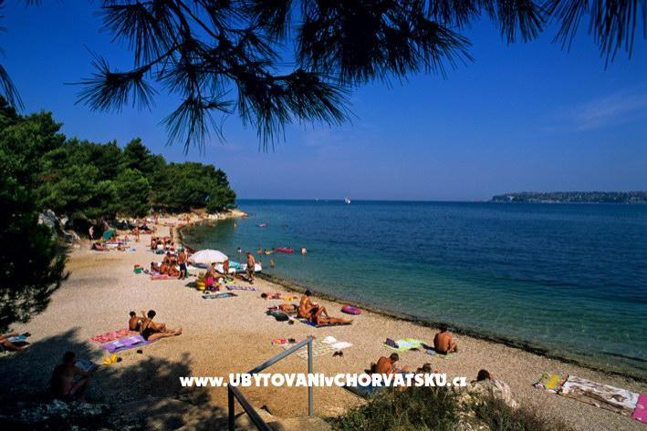 Appartementen Lav – foto 7