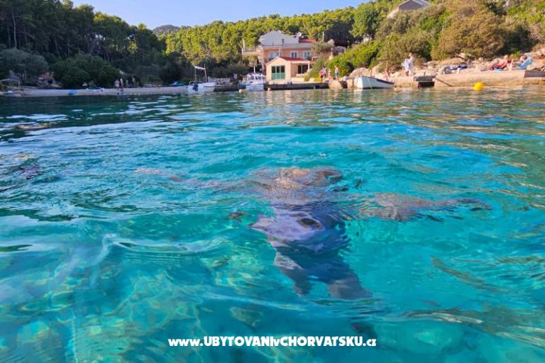 Villa Bell Aria Korcula – foto 11