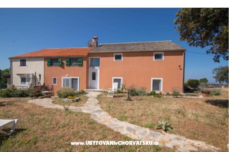 App Bonić – foto 145