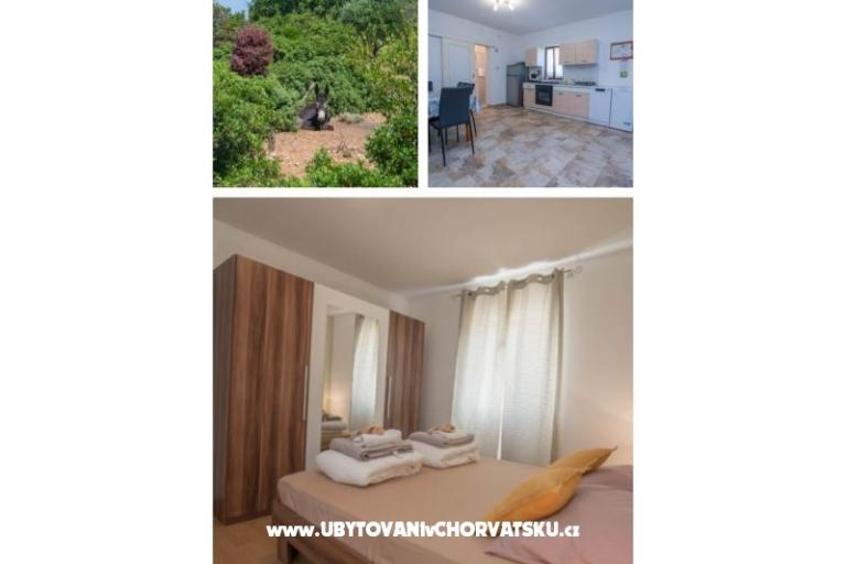 App Bonić – foto 2