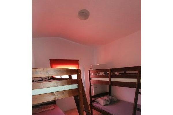 Appartement GOljubica – foto 11