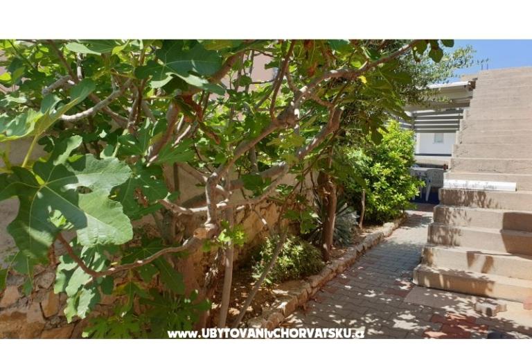 apart. Zadro first house by the sea – foto 7