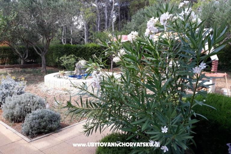 Appartementen Budija / Viola – foto 5