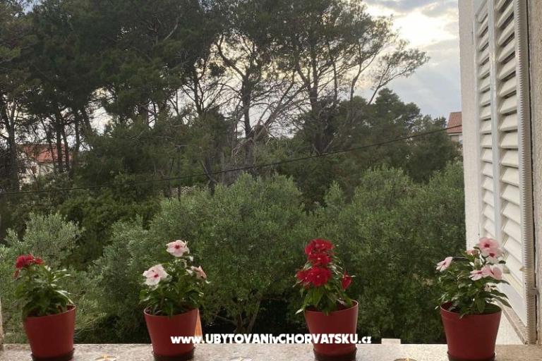 Appartementen Budija / Viola – foto 7