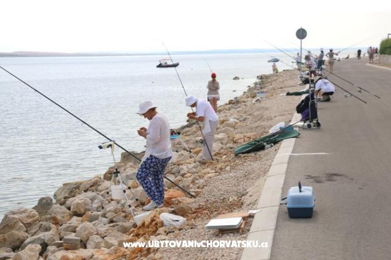 Appartementen Debeljak – foto 8