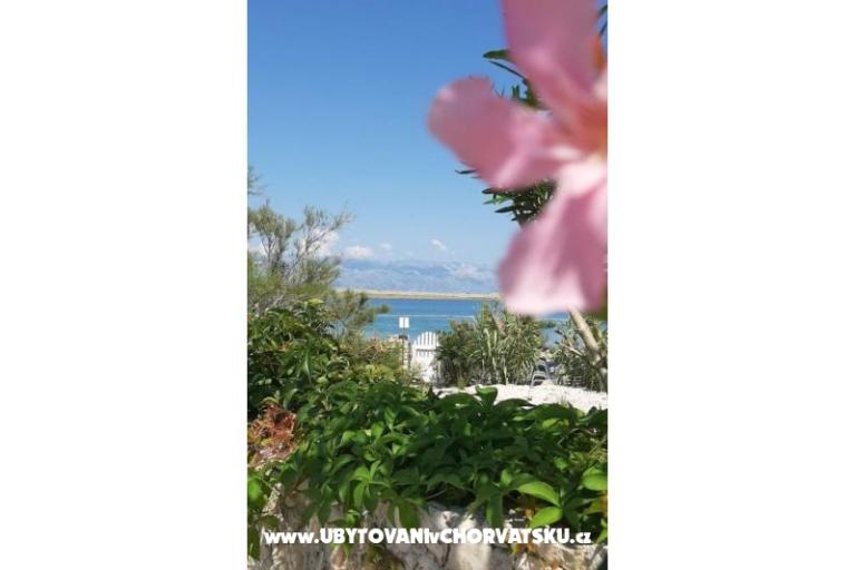 Appartementen Knapić – foto 7