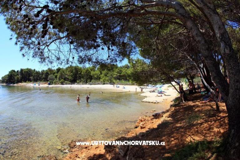 Appartementen Pavić - Sapavac – foto 15