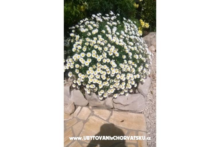 Appartementen Štefanija – foto 11