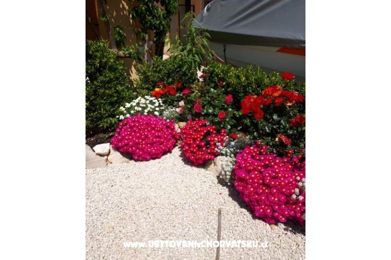 Appartementen Štefanija – foto 14