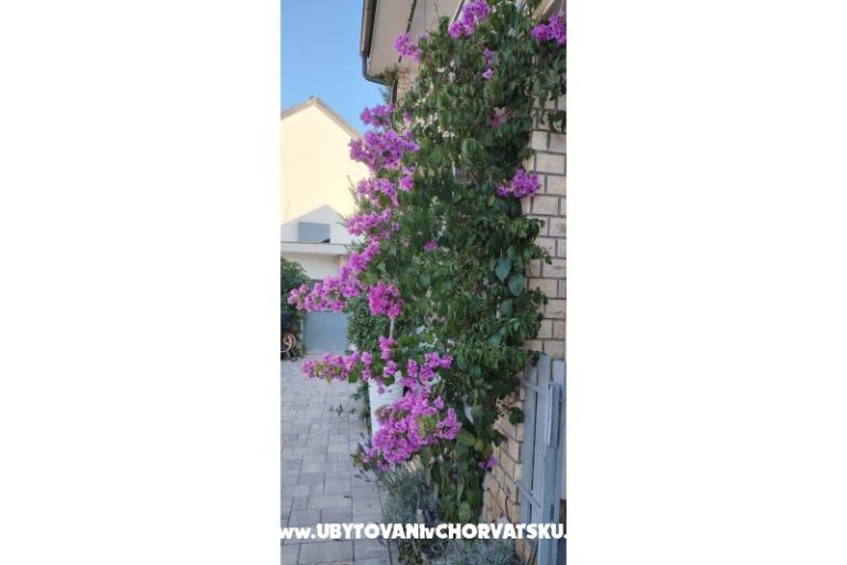 Appartementen Sunce – foto 35