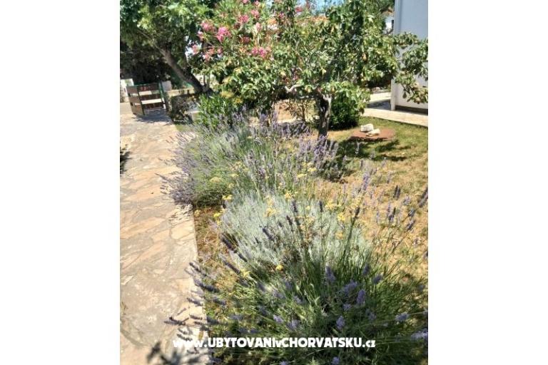Appartementen Budija / Lavanda – foto 4