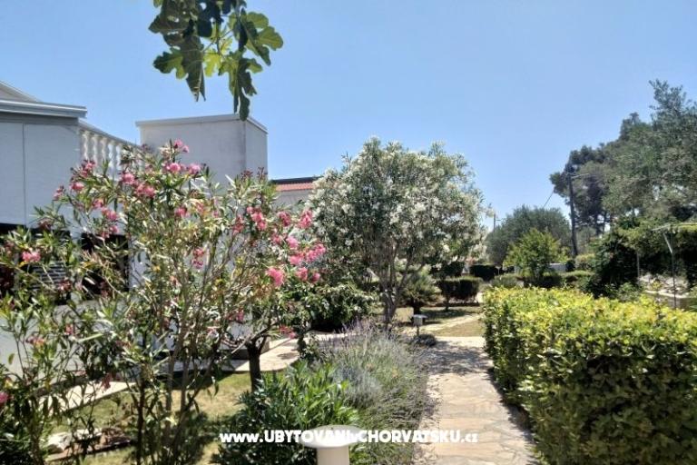 Appartementen Budija / Lavanda – foto 6