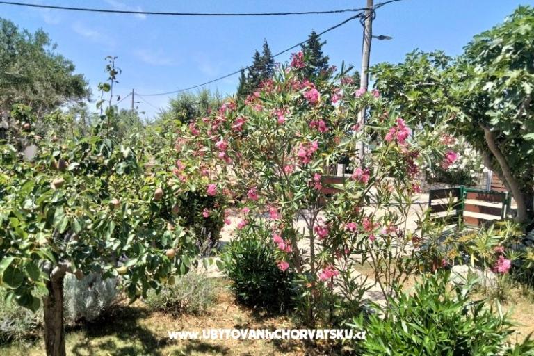 Appartementen Budija / Lavanda – foto 8