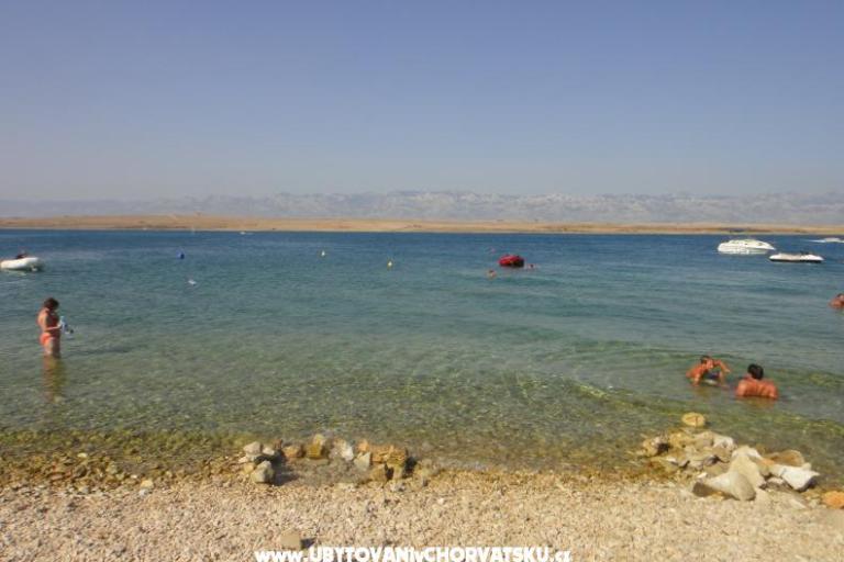 Appartementen Zitna – foto 8