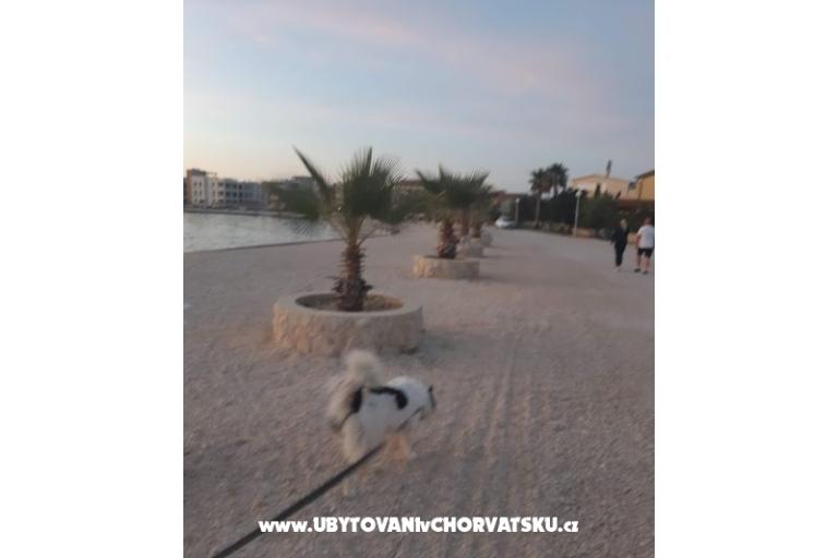 Appartementen IVA – foto 35