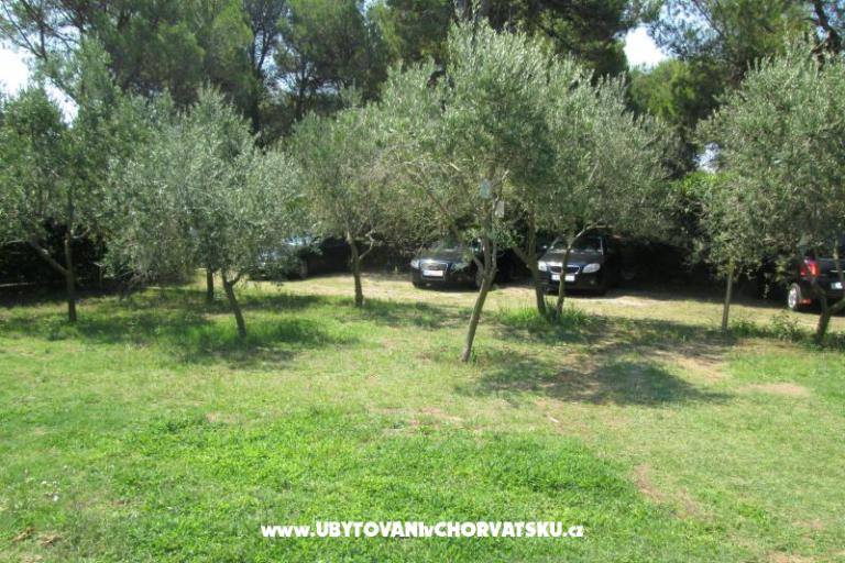 Appartementen Pavlica – foto 8