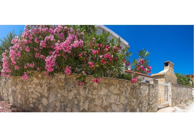 Appartementen Podlesek – foto 10