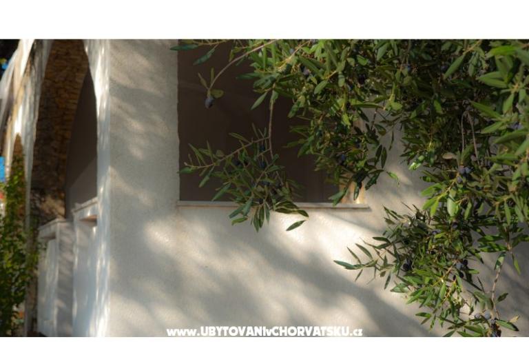 Appartementen Podlesek – foto 15