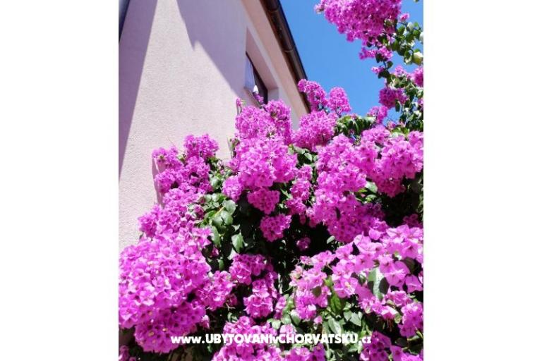 Appartementen VIR-to-all – foto 5