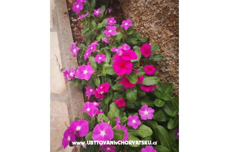 Appartementen Vlašić – foto 9