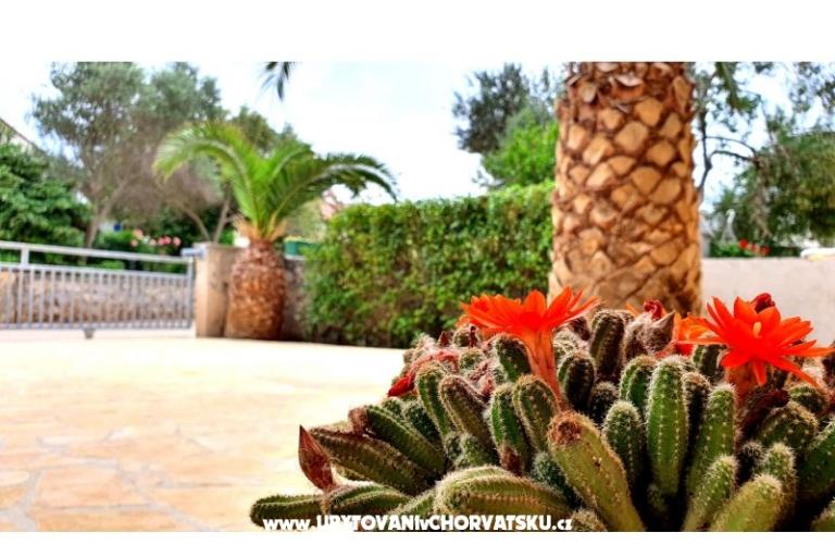 Happy Pineapple Appartementen Vir – foto 6