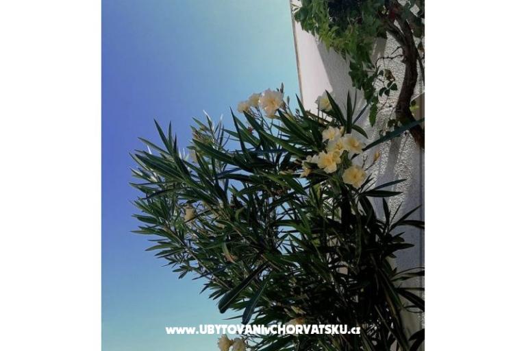 Ivo Nedić Appartementen – foto 12