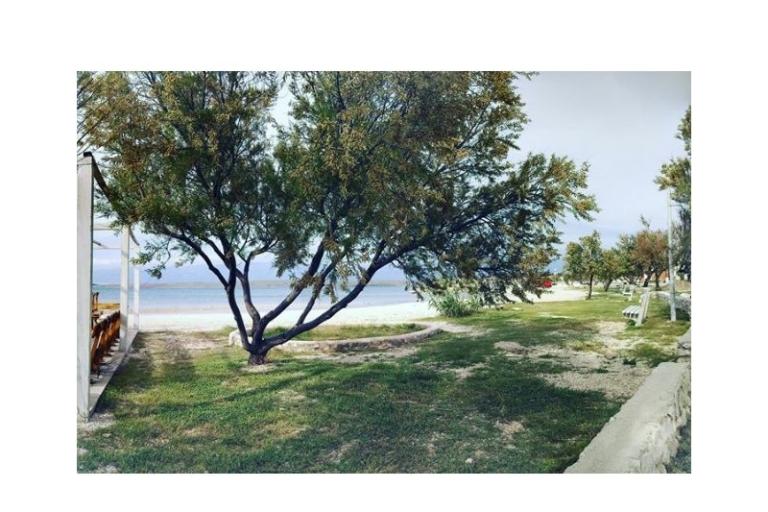 Huis Aqualis – foto 6