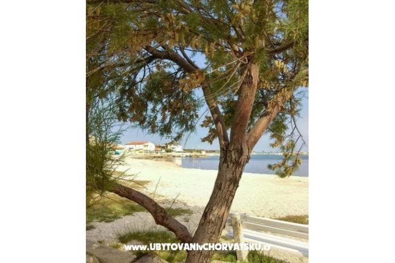 Huis Aqualis – foto 7