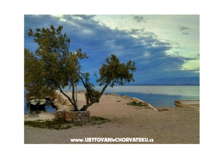 Huis Aqualis – foto 8