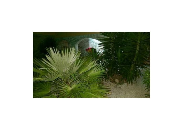 Vakantiehuis Venus – foto 11
