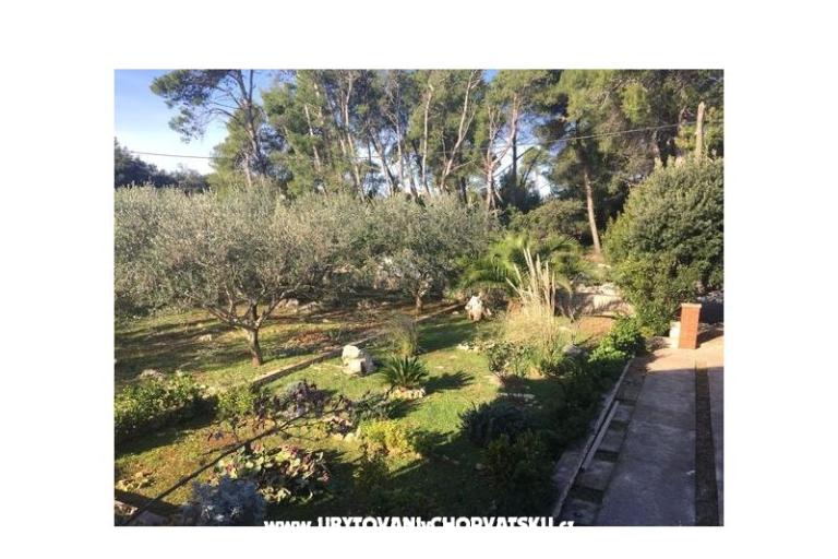 Vakantiehuis Barbenjak – foto 15