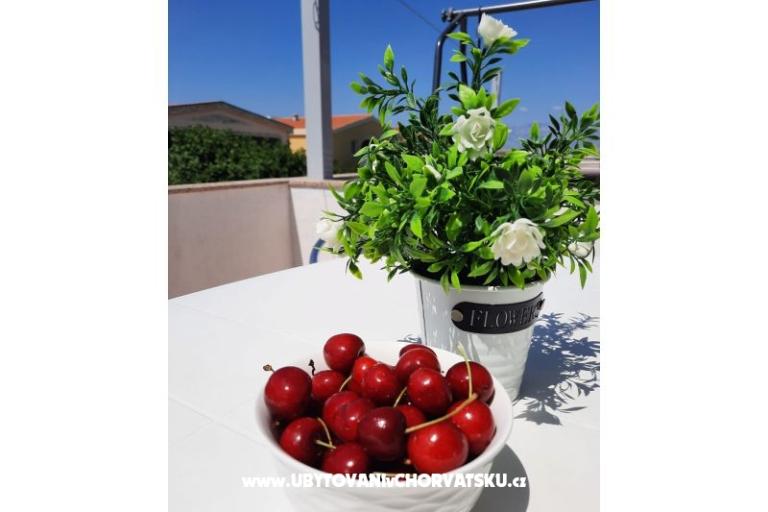 Nedić Appartementen – foto 8