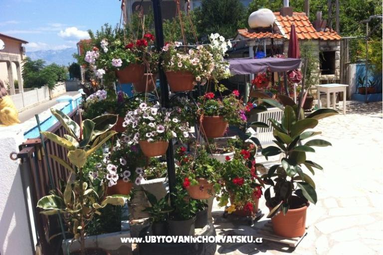 Petra apartmani – foto 11