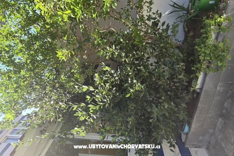 Sunset Paradise Appartementen Vir – foto 57