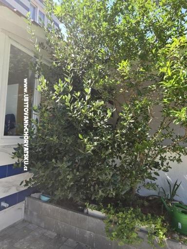Sunset Paradise Appartementen Vir – foto 62