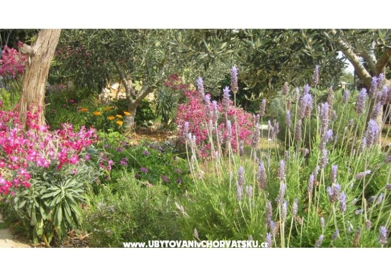 Appartementen Goga – foto 9