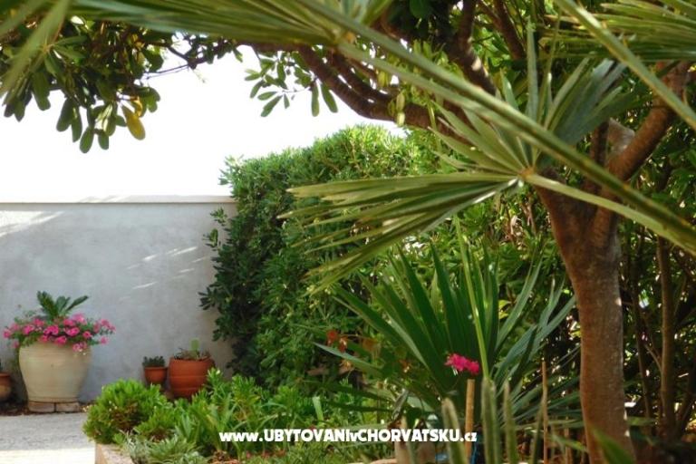 Vis - Appartementen Utrobicic – foto 11