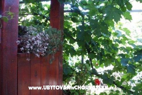 Appartementen Tina – foto 9
