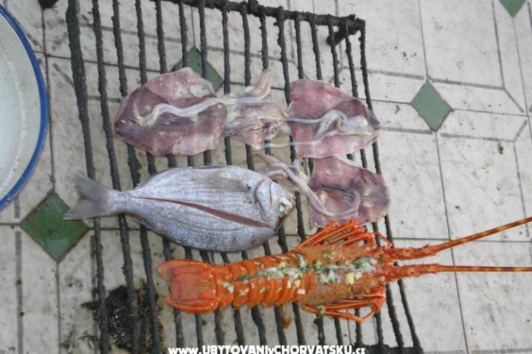 Kamperen BIŠA – foto 7
