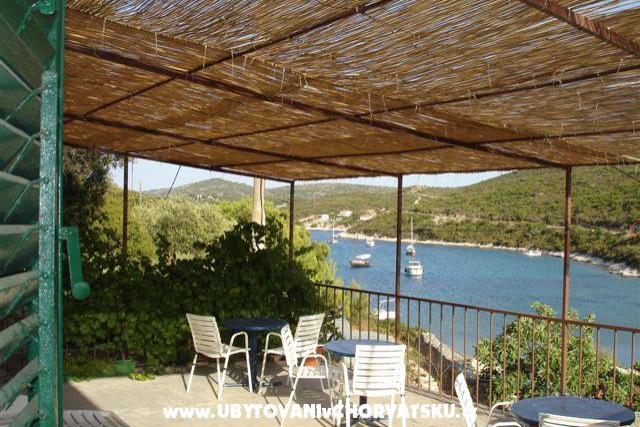 Kamer Parja – foto 8