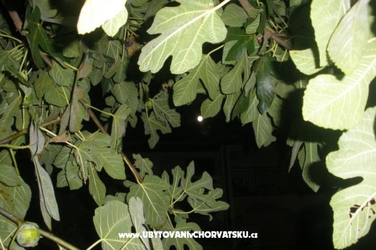 Appartementen  Smokva   – foto 4